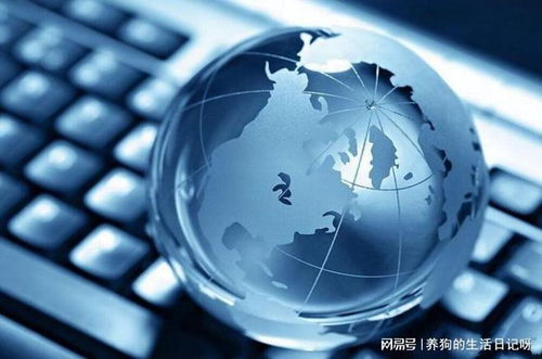 網(wǎng)絡(luò)文化經(jīng)營(yíng)新路徑 湖南助企文化傳媒解析企業(yè)為何必須開(kāi)展網(wǎng)絡(luò)營(yíng)銷(xiāo)